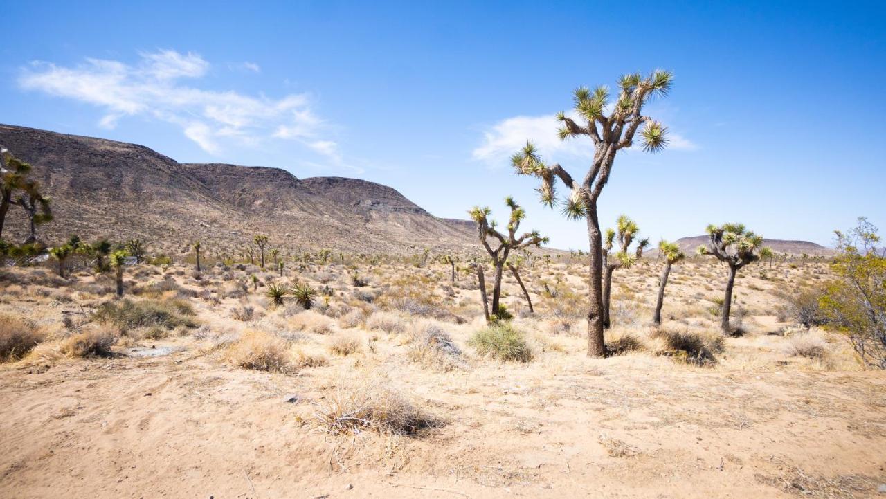 Wind Hill Otel Yucca Valley Dış mekan fotoğraf